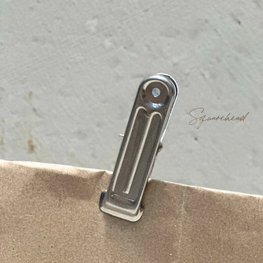 Aluminium Clothes Pegs (20 pack)