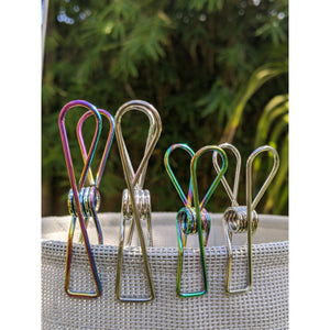 Stainless Steel Rainbow Clothes Pegs