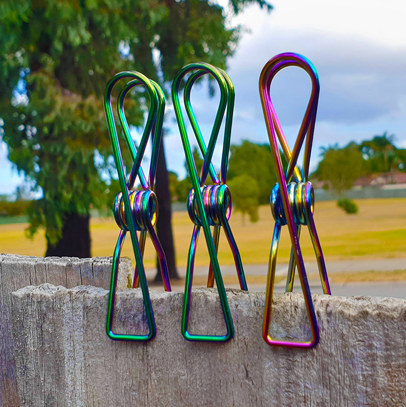 Large Stainless Steel Rainbow Clothes Pegs